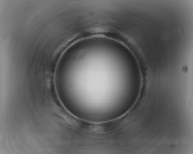 X0000112881217200908211442