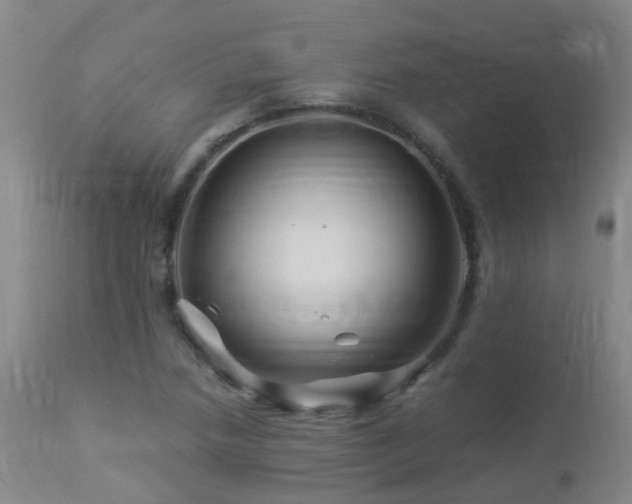 X0000112881218200908211442