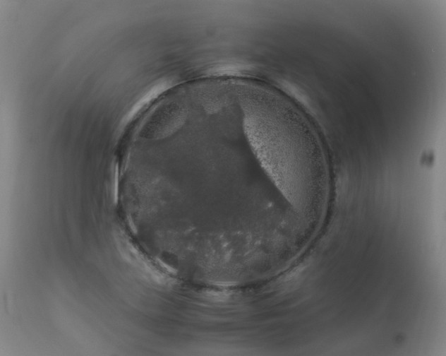 X0000112881219200908211442