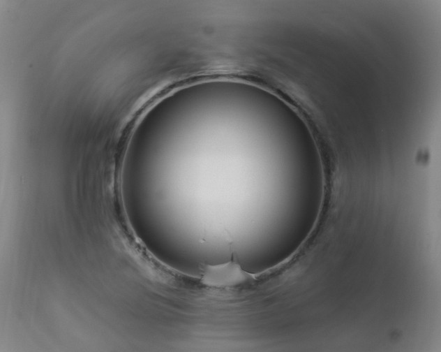 X0000112881220200908211442