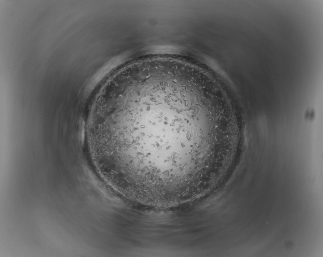 X0000112881221200908211442