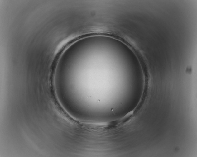 X0000112881222200908211442