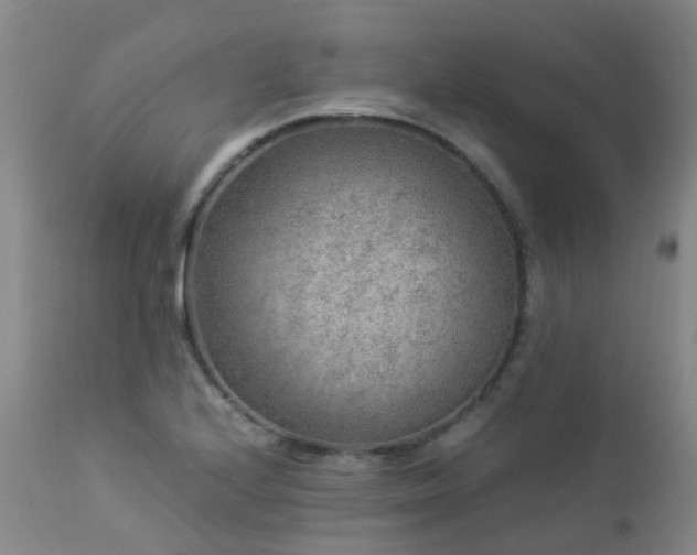 X0000112881224200908211443