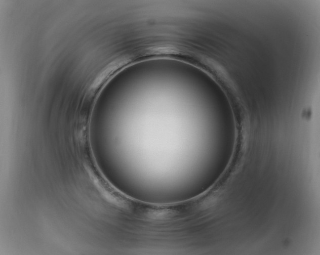 X0000112881225200908211443