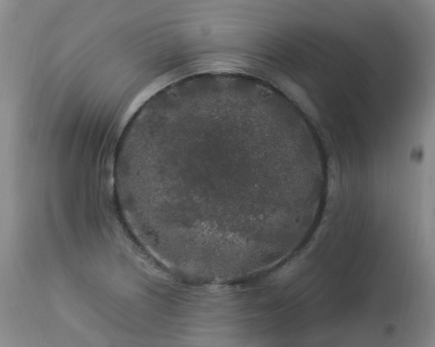 X0000112881226200908211443