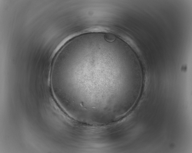 X0000112881228200908211443