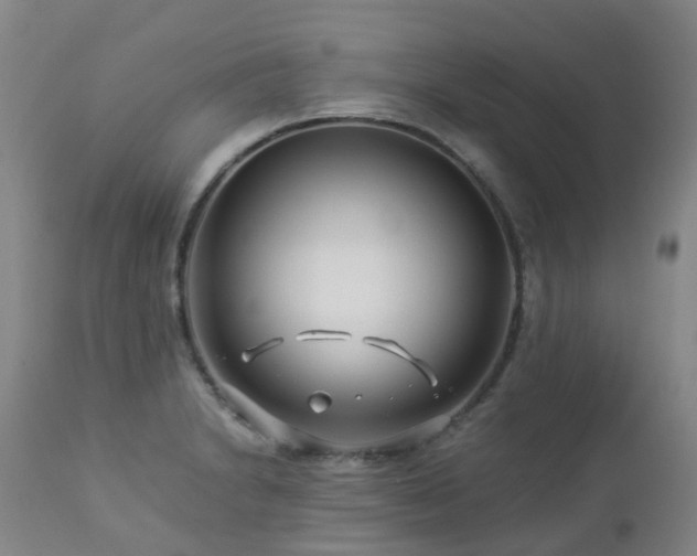 X0000112881230200908211443