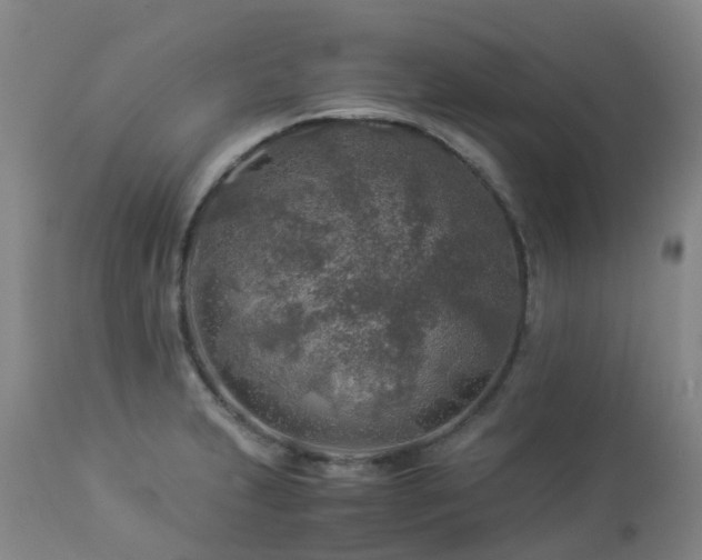 X0000112881231200908211443