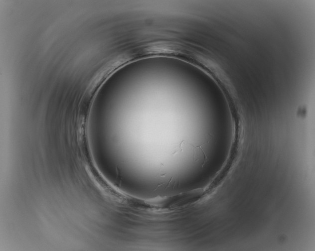 X0000112881233200908211443