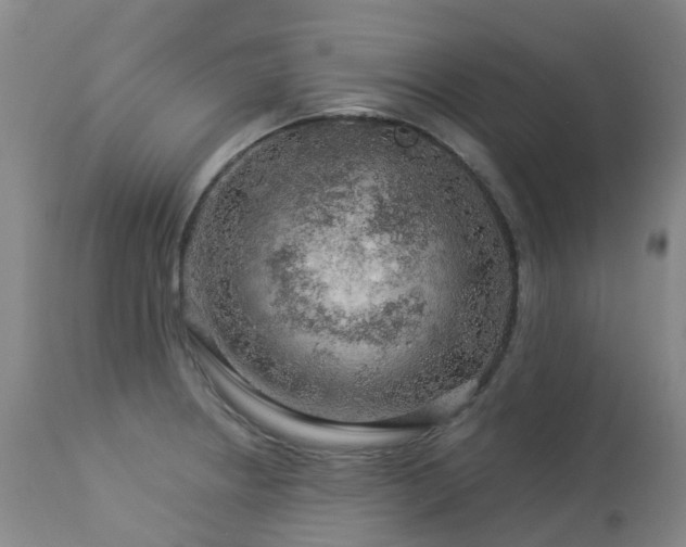 X0000112881234200908211443