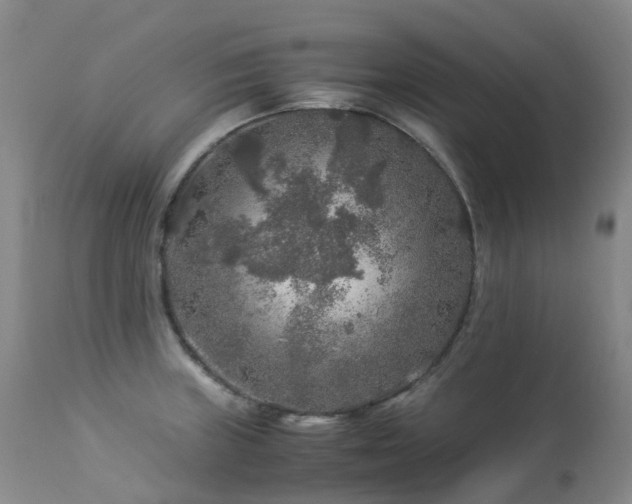 X0000112881235200908211443