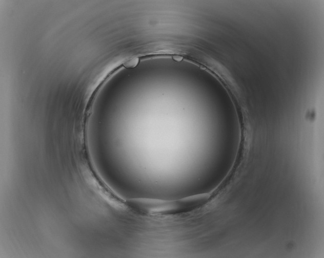 X0000112881236200908211443