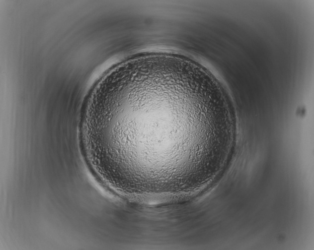 X0000112881237200908211443