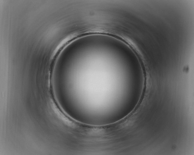 X0000112881238200908211443