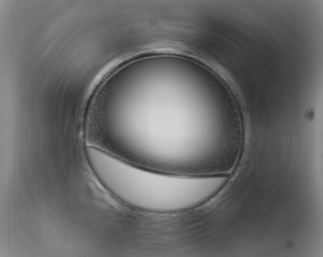 X0000112881240200908211443