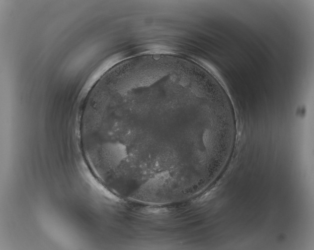 X0000112881243200908211443