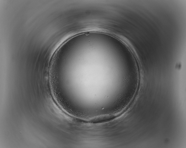 X0000112881244200908211443