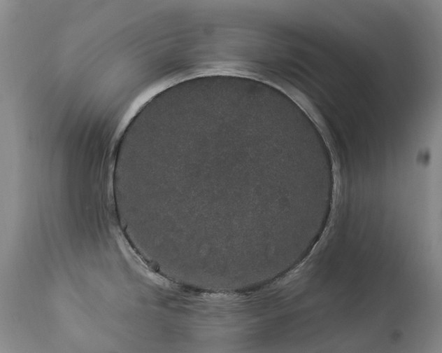 X0000112881246200908211443