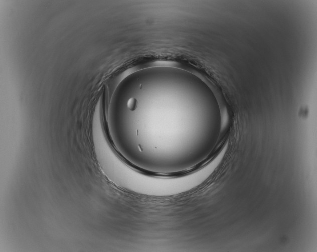 X0000112881249200908211442