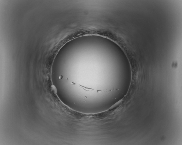 X0000112881253200908211442