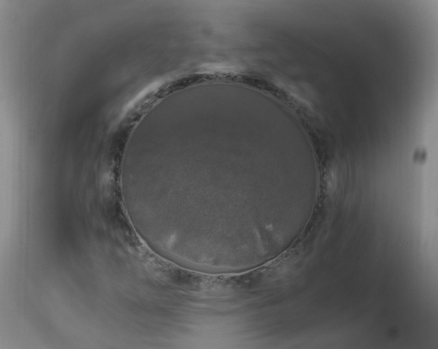 X0000112881254200908211442