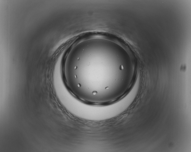 X0000112881255200908211442