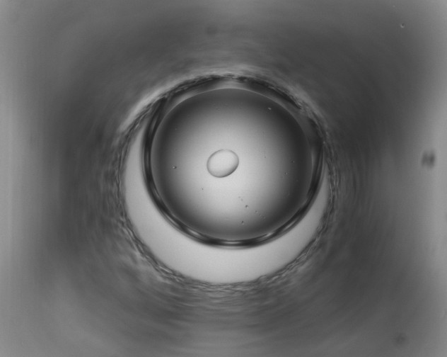 X0000112881256200908211442