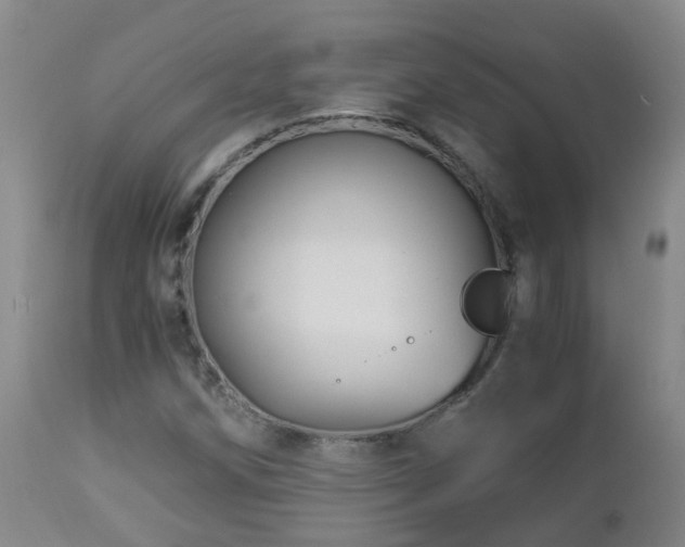 X0000112881258200908211442