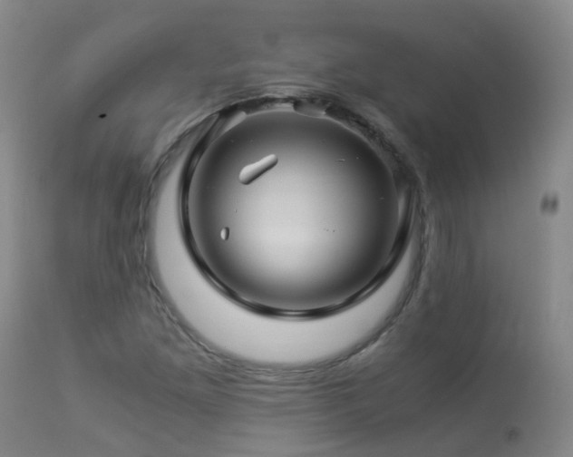 X0000112881261200908211442