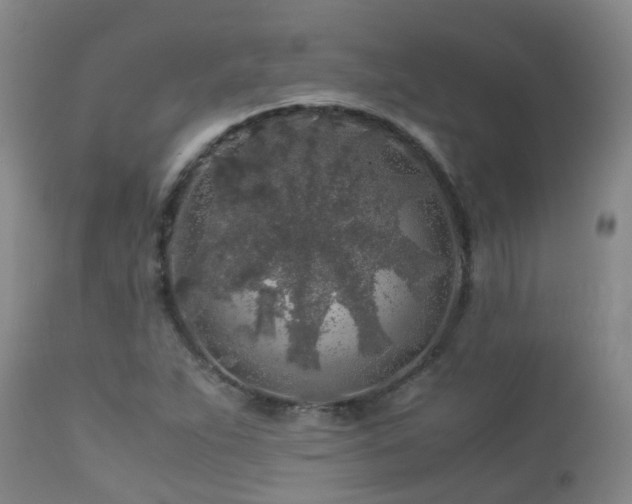 X0000112881263200908211442