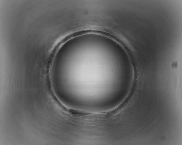 X0000112881264200908211442