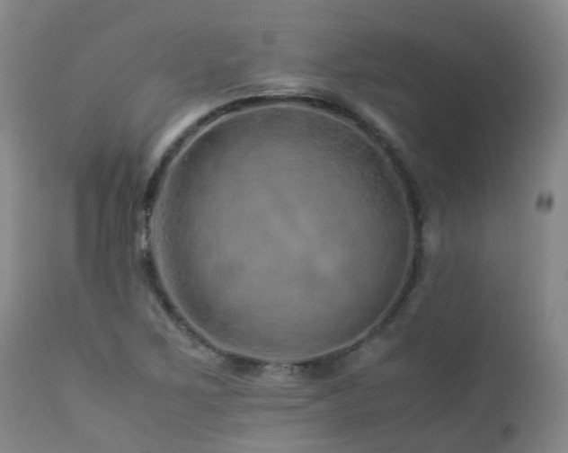 X0000112881267200908211442