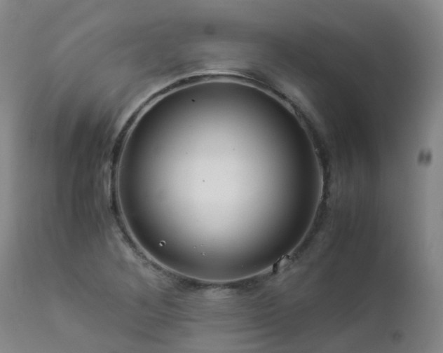 X0000112881268200908211442