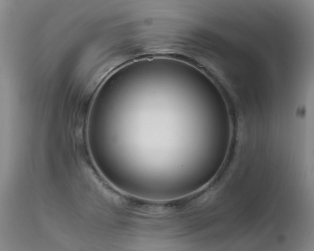 X0000112881273200908211442