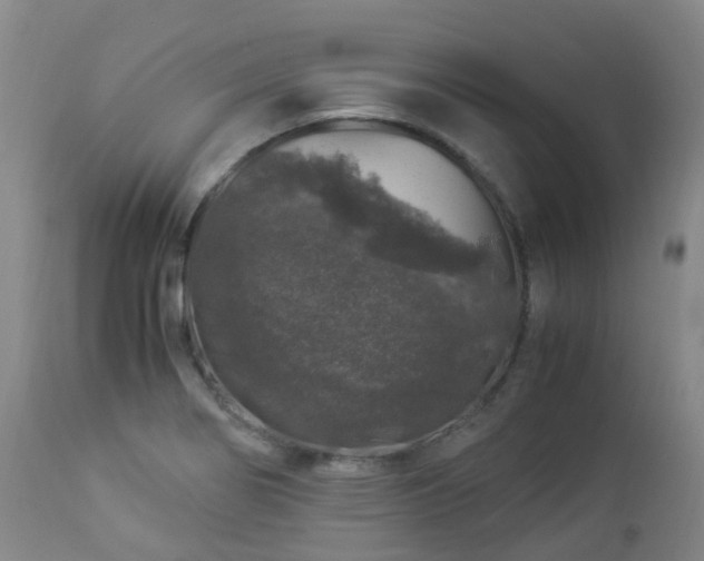 X0000112881274200908211441