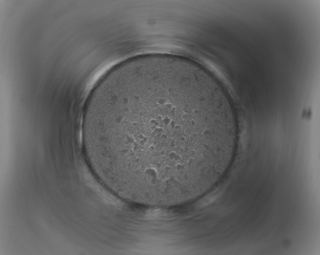 X0000112881275200908211441