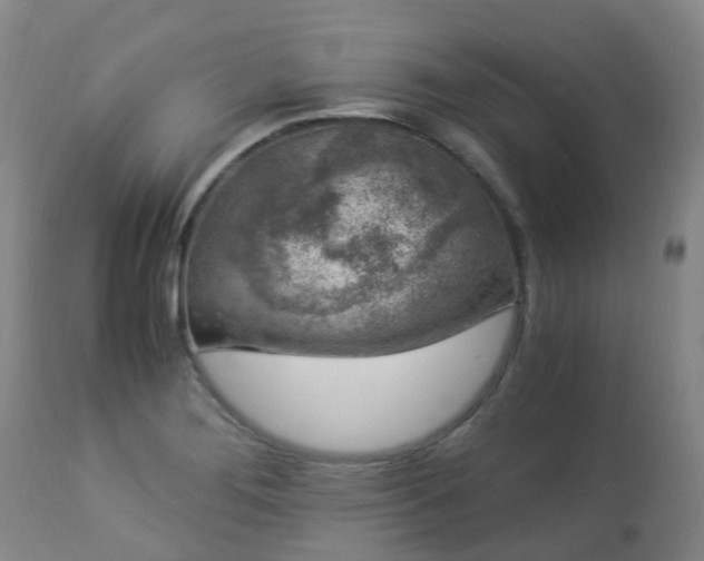 X0000112881276200908211441