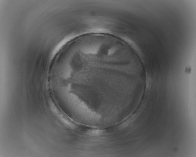 X0000112881278200908211441