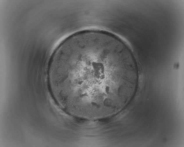 X0000112881279200908211441