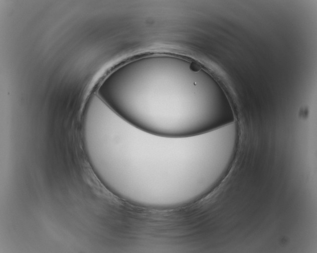 X0000112881280200908211441