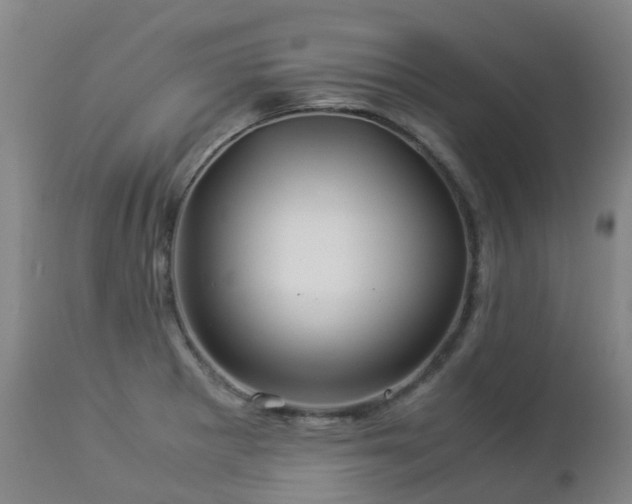 X0000112881281200908211441