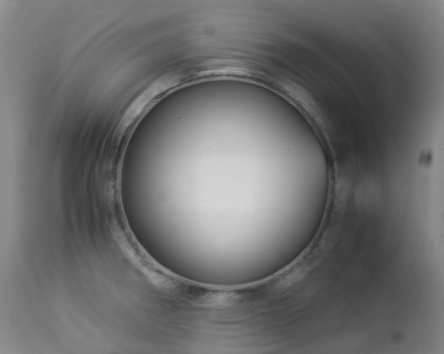 X0000112881282200908211441