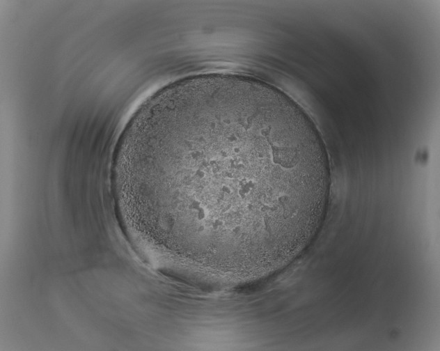 X0000112881283200908211441