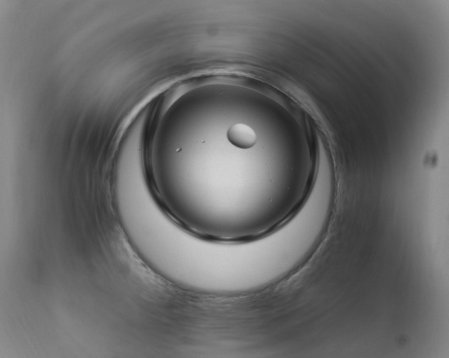 X0000112881284200908211441