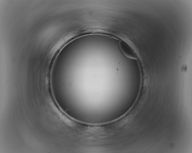 X0000112881285200908211441