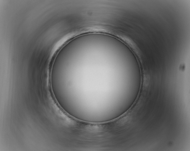 X0000112881286200908211441