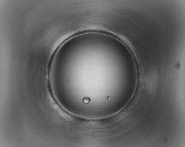 X0000112881287200908211441