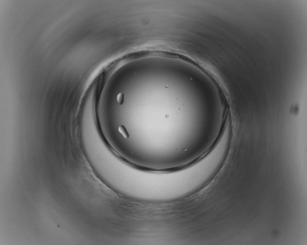 X0000112881288200908211441