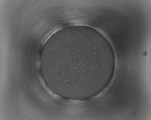 X0000112881289200908211441