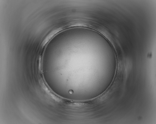 X0000112881290200908211441